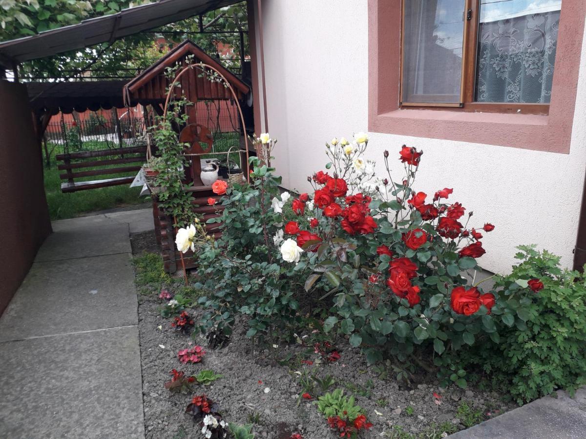 Pensiunea Ileana Novaci-Straini Bagian luar foto