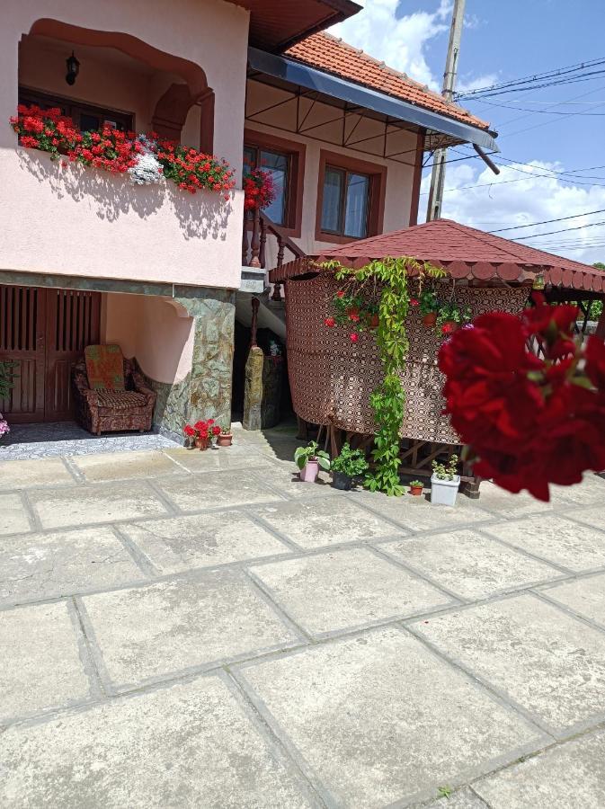 Pensiunea Ileana Novaci-Straini Bagian luar foto