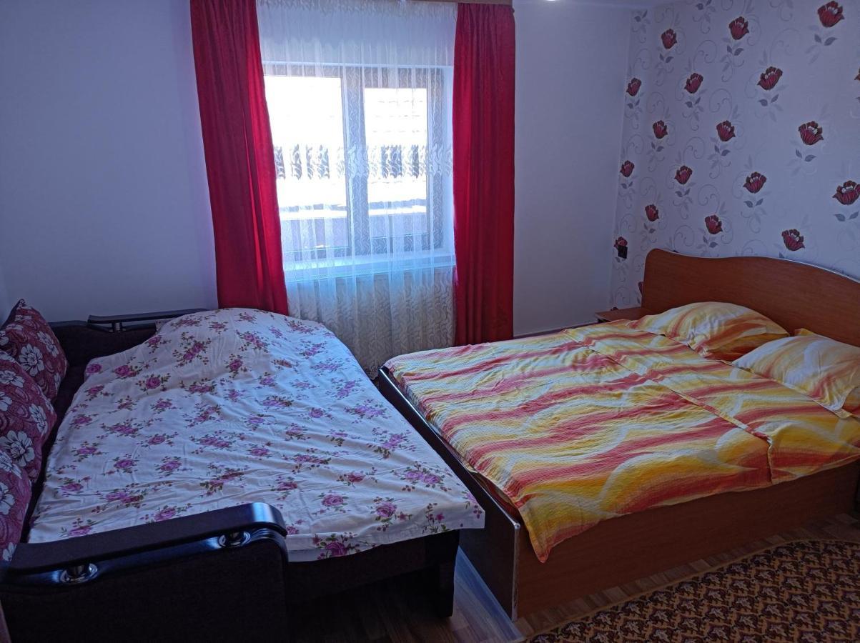 Pensiunea Ileana Novaci-Straini Bagian luar foto