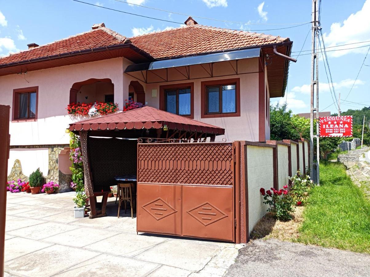 Pensiunea Ileana Novaci-Straini Bagian luar foto