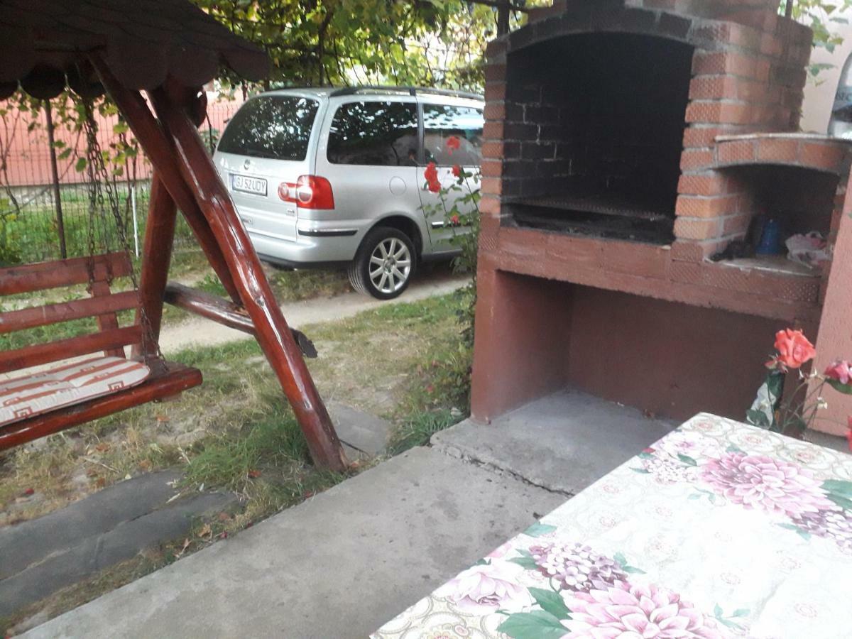 Pensiunea Ileana Novaci-Straini Bagian luar foto