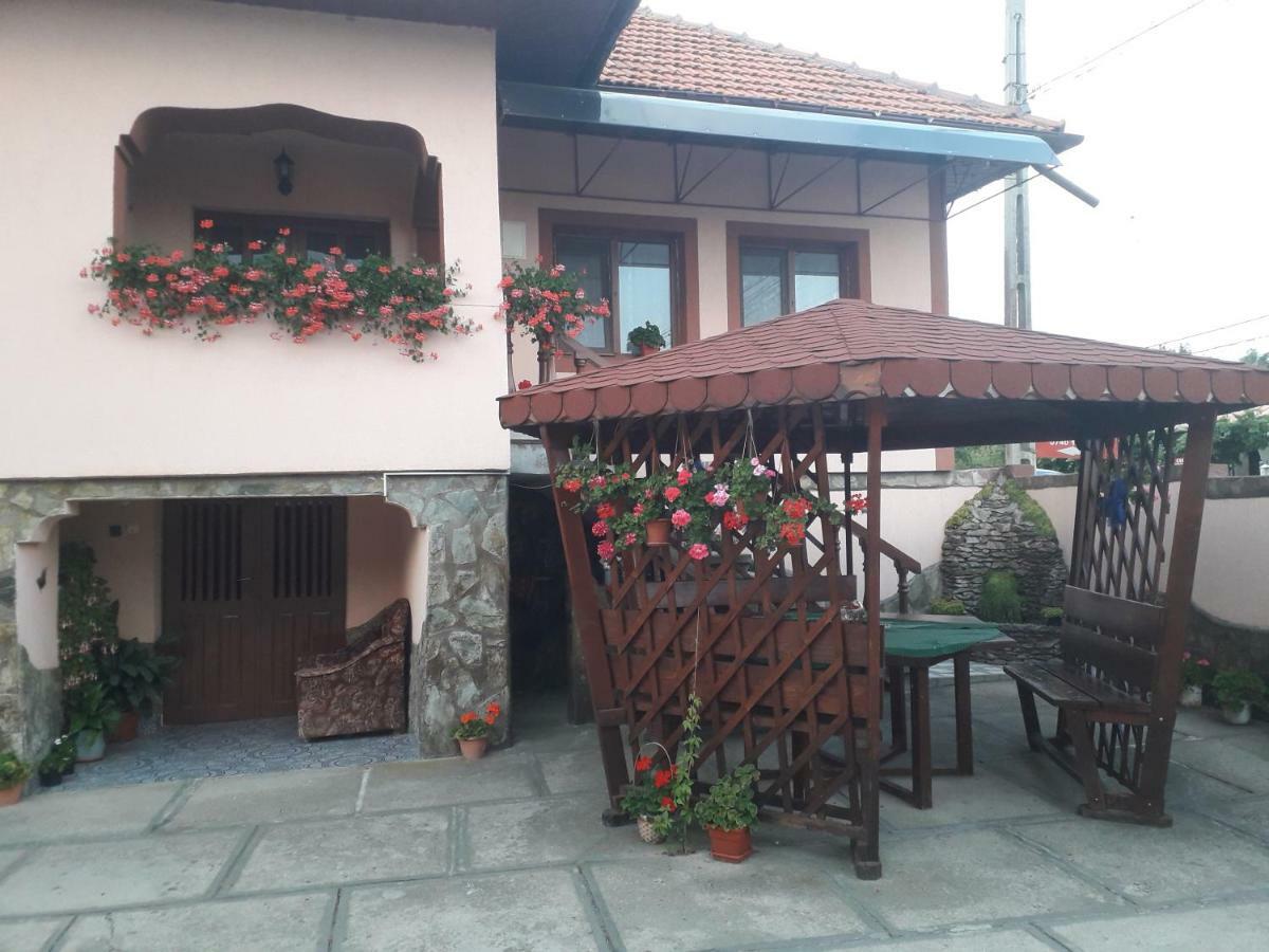 Pensiunea Ileana Novaci-Straini Bagian luar foto