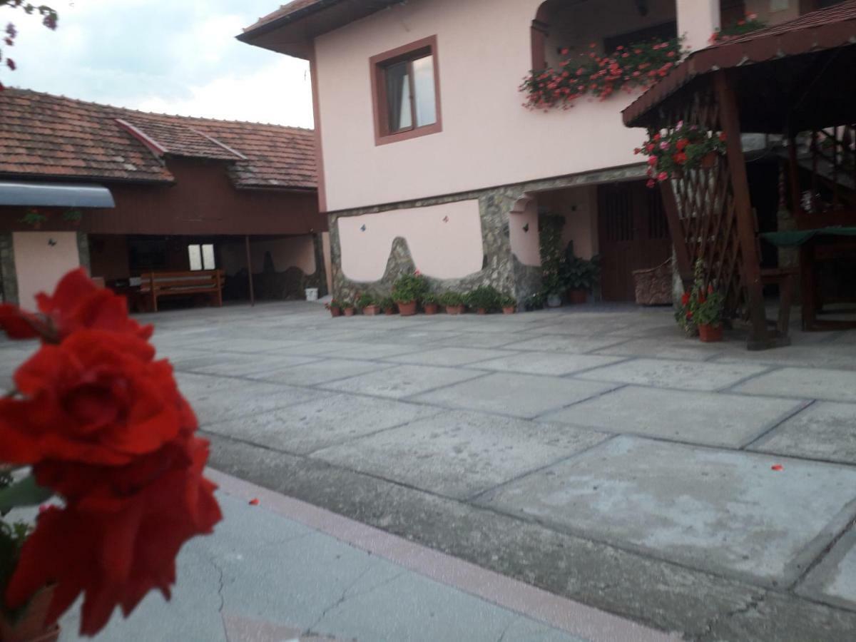 Pensiunea Ileana Novaci-Straini Bagian luar foto