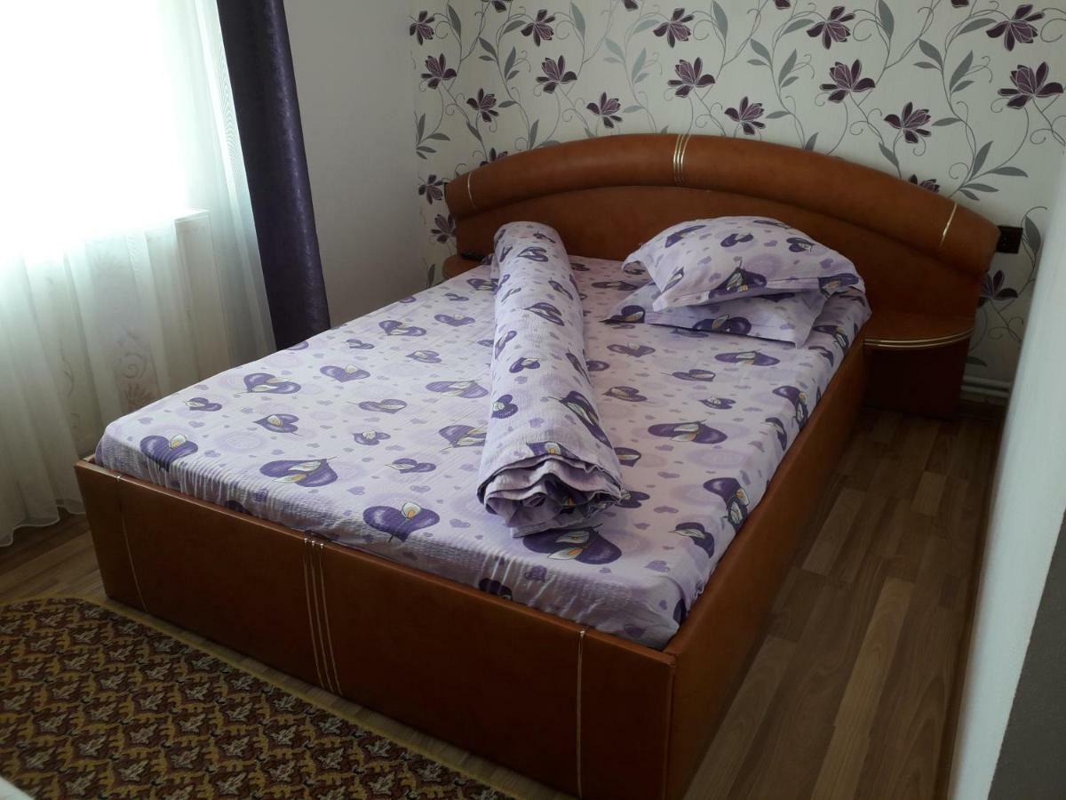 Pensiunea Ileana Novaci-Straini Bagian luar foto