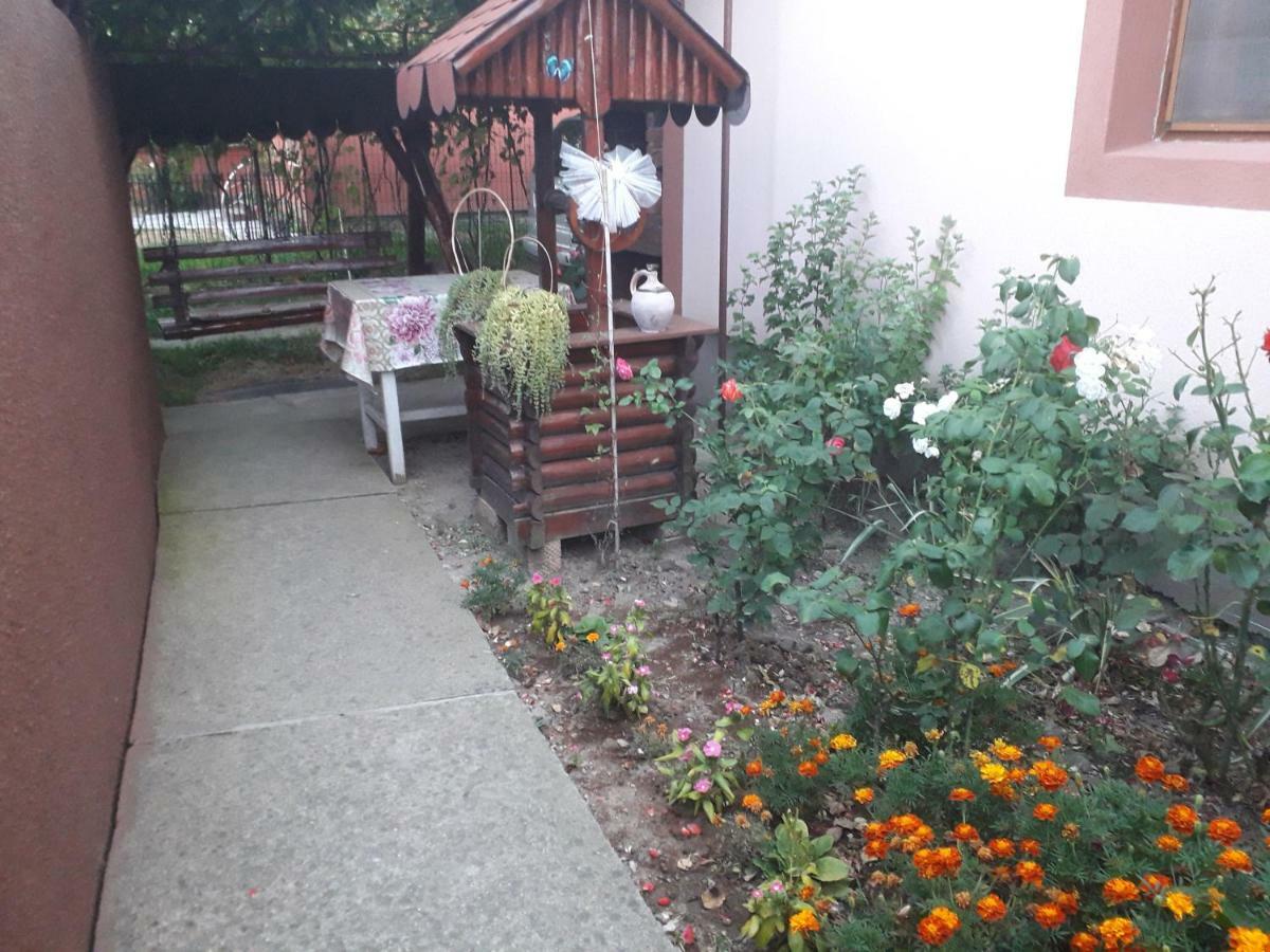Pensiunea Ileana Novaci-Straini Bagian luar foto